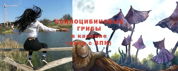 герыч Зеленокумск