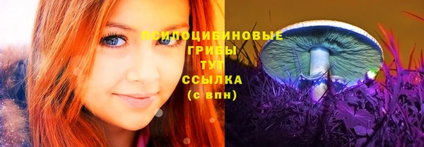 spice Зеленодольск